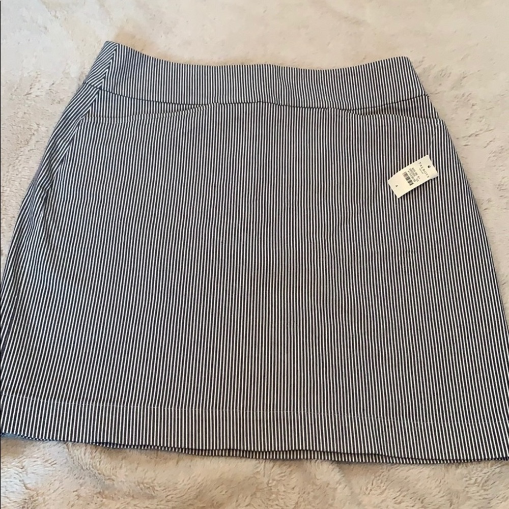 Talbots White and Navy Pinstripe Skirt Size 4